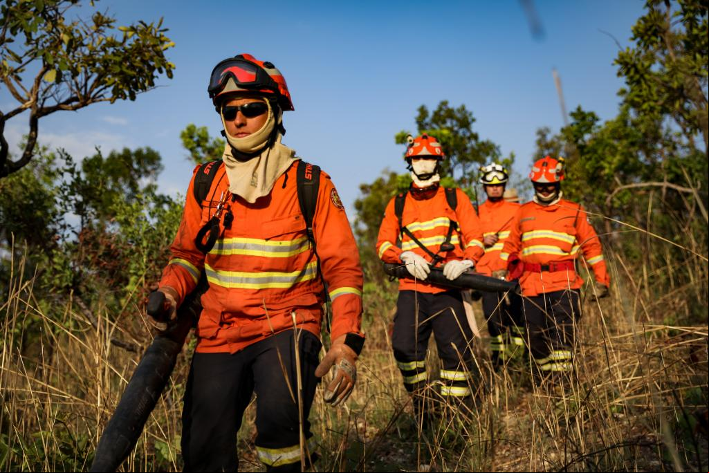 Governo de MT prorroga período proibitivo para queimadas até 30 de novembro
