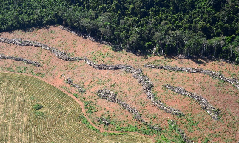 Querência Foi Inserida no Programa Federal para Redução do Desmatamento