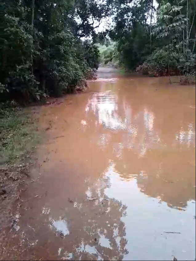 Córrego Cel. Vanick transbordou e fazendas estão ilhadas - veja vídeo