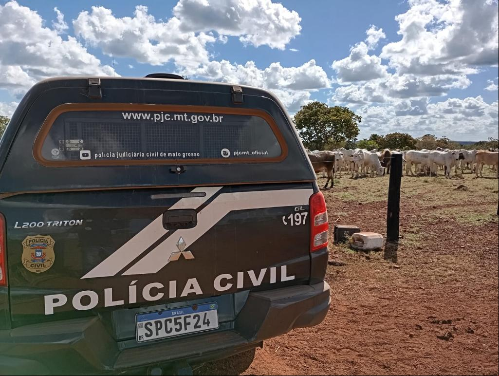 Polícia Civil recupera cabeças de gado de produtor rural em Nova Xavantina
